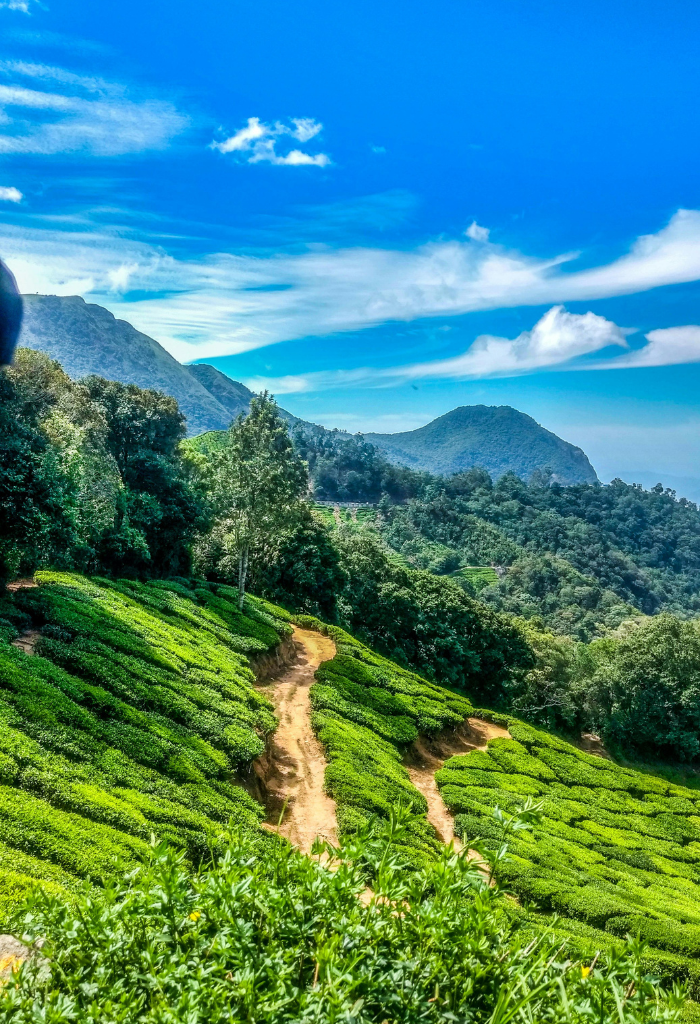 munnar travel