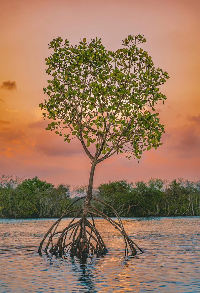 kollam tourist place