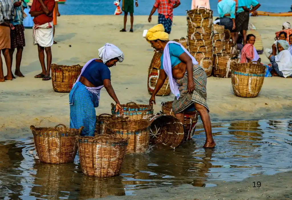 kerala fish selling womens